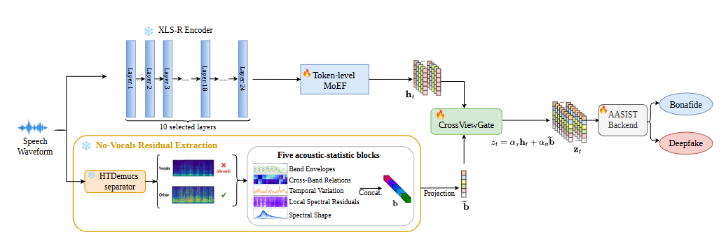 Overview of the MN-P dual-view speech deepfake detection framework